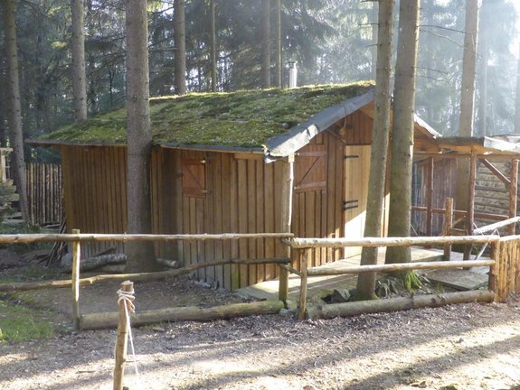 Hütte aus Holz im Wald